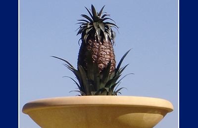 NEMC - Pineapple Fountain