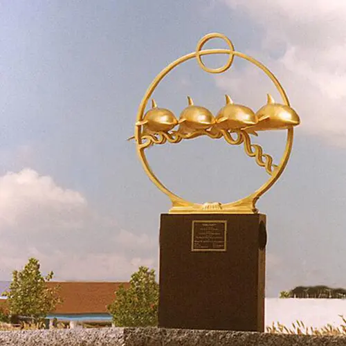 Contemporary Delight