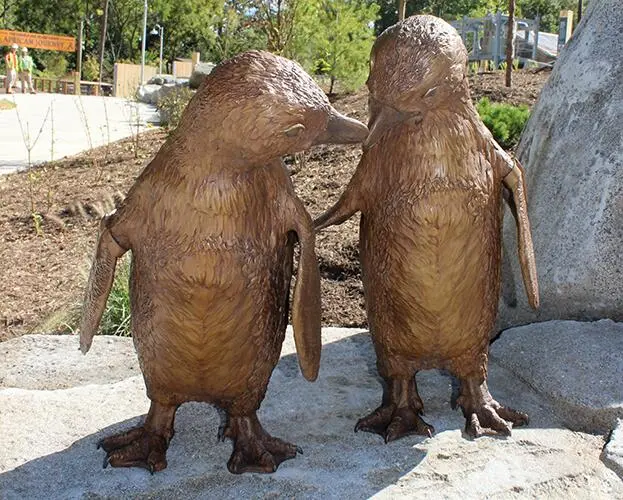 Baltimore Zoo African Penguins