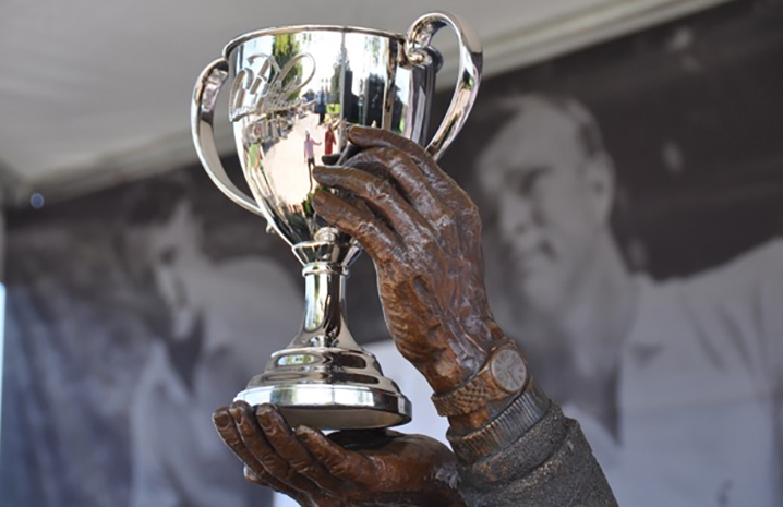 Arnold Palmer Cup